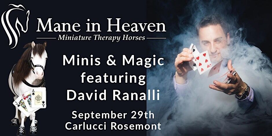 Invite for Mane in Heaven fundraiser.